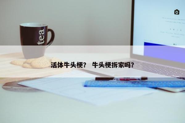 活体牛头梗？ 牛头梗拆家吗？