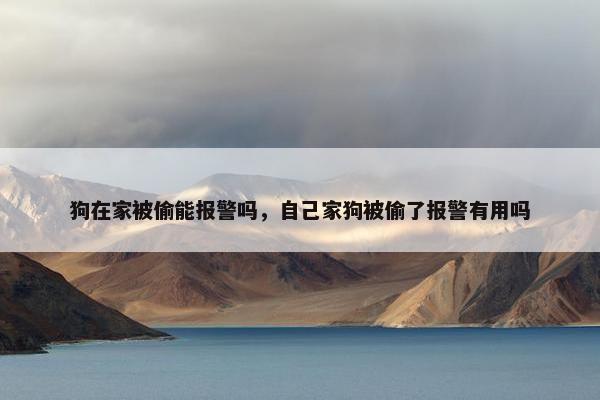 狗在家被偷能报警吗，自己家狗被偷了报警有用吗
