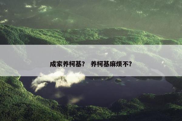 成家养柯基？ 养柯基麻烦不？