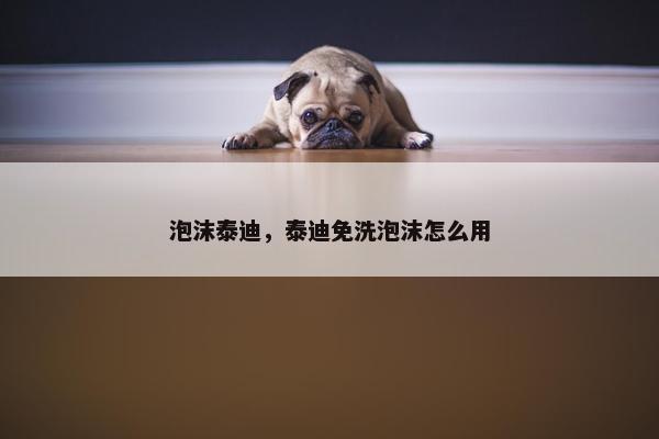 泡沫泰迪，泰迪免洗泡沫怎么用