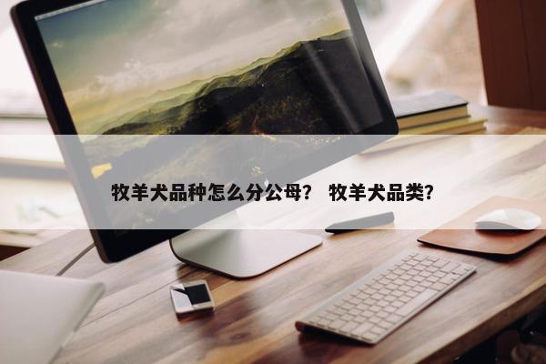 牧羊犬品种怎么分公母？ 牧羊犬品类？