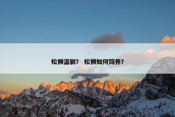 松狮温驯？ 松狮如何饲养？