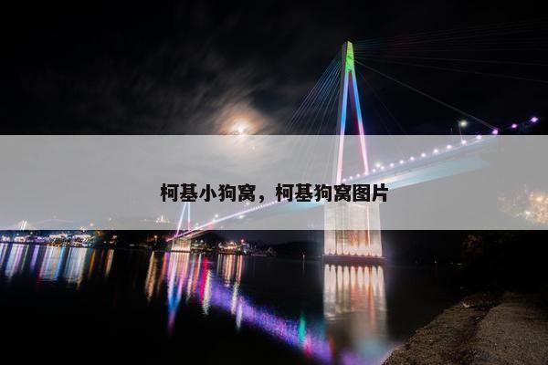 柯基小狗窝，柯基狗窝图片
