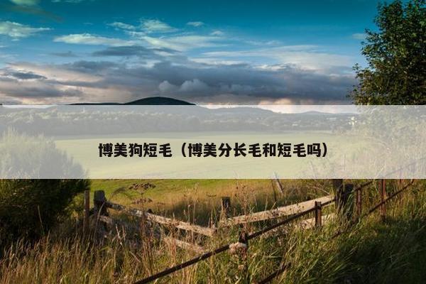 博美狗短毛（博美分长毛和短毛吗）