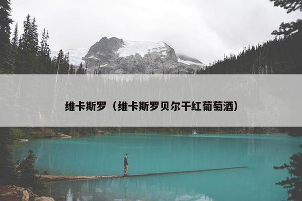 维卡斯罗（维卡斯罗贝尔干红葡萄酒）