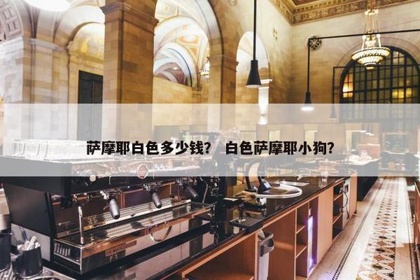 萨摩耶白色多少钱？ 白色萨摩耶小狗？
