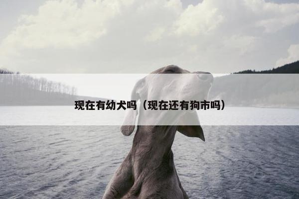 现在有幼犬吗（现在还有狗市吗）