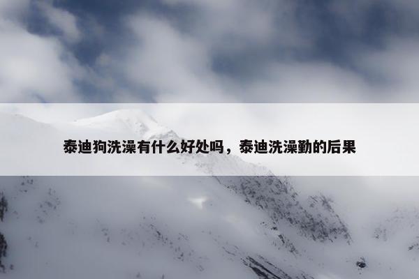 泰迪狗洗澡有什么好处吗，泰迪洗澡勤的后果