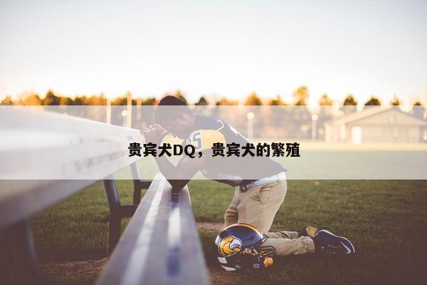 贵宾犬DQ，贵宾犬的繁殖