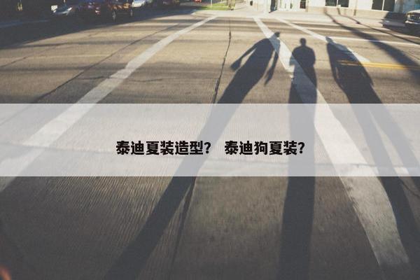 泰迪夏装造型？ 泰迪狗夏装？