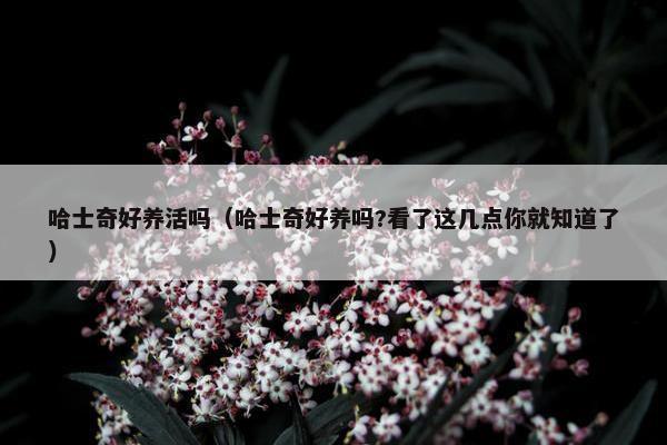 哈士奇好养活吗（哈士奇好养吗?看了这几点你就知道了）