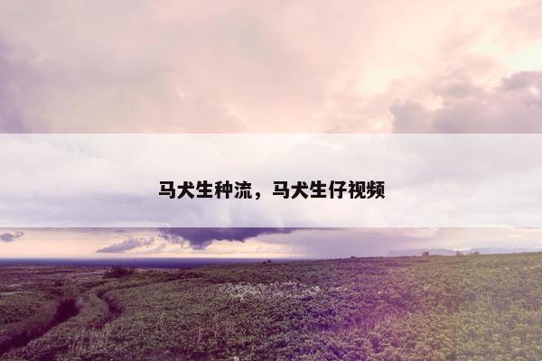 马犬生种流，马犬生仔视频