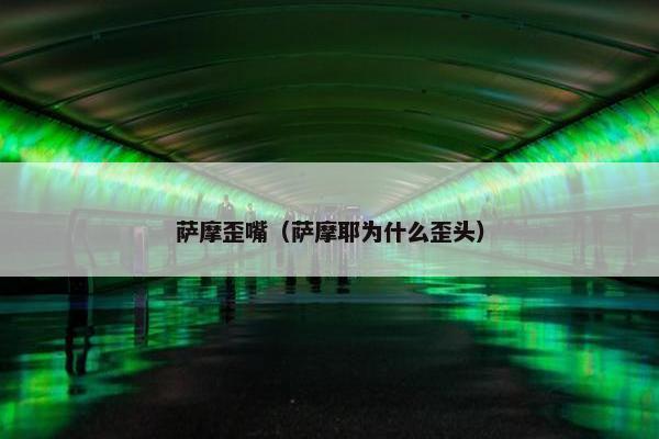 萨摩歪嘴（萨摩耶为什么歪头）