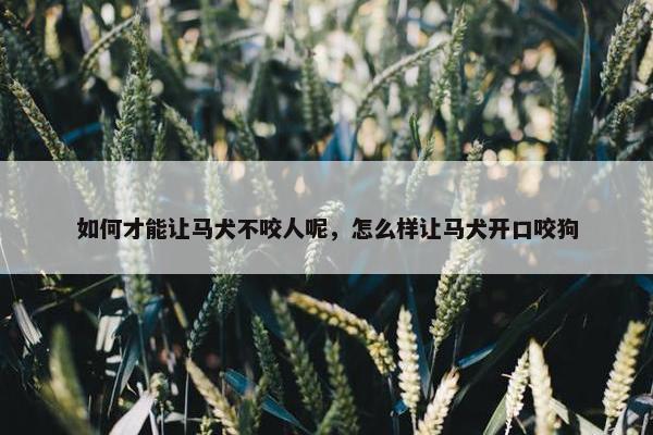 如何才能让马犬不咬人呢，怎么样让马犬开口咬狗