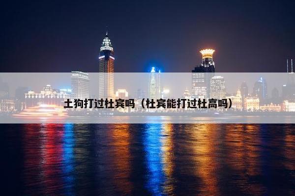 土狗打过杜宾吗（杜宾能打过杜高吗）