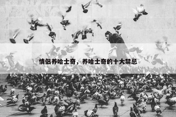 情侣养哈士奇，养哈士奇的十大禁忌