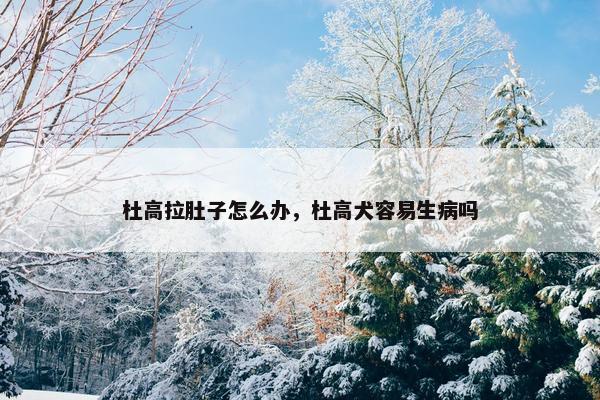 杜高拉肚子怎么办，杜高犬容易生病吗