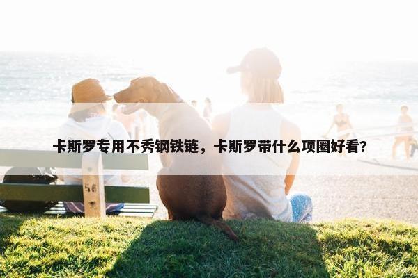 卡斯罗专用不秀钢铁链，卡斯罗带什么项圈好看?