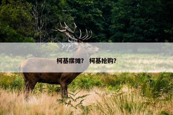 柯基摆摊？ 柯基抢购？