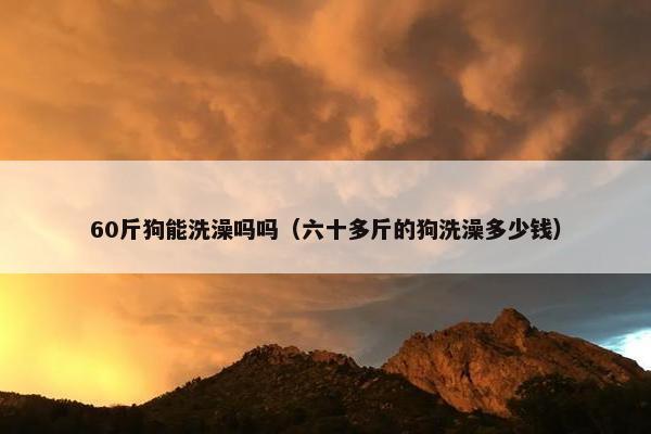 60斤狗能洗澡吗吗（六十多斤的狗洗澡多少钱）