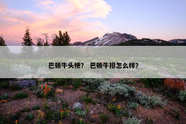 巴顿牛头梗？ 巴顿牛排怎么样？