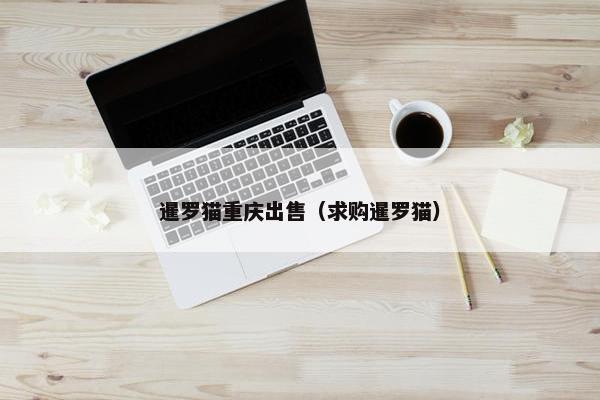 暹罗猫重庆出售（求购暹罗猫）