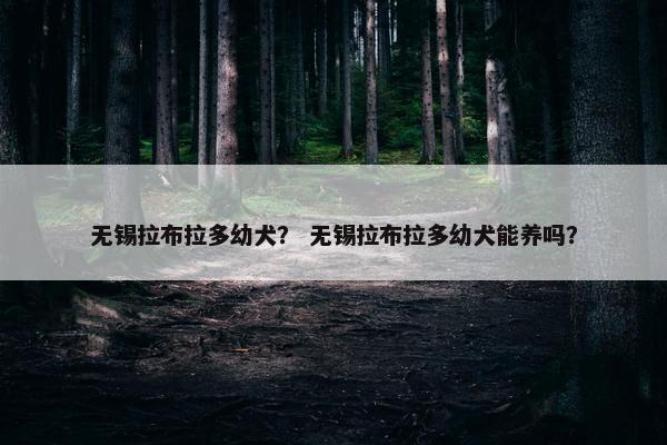 无锡拉布拉多幼犬？ 无锡拉布拉多幼犬能养吗？