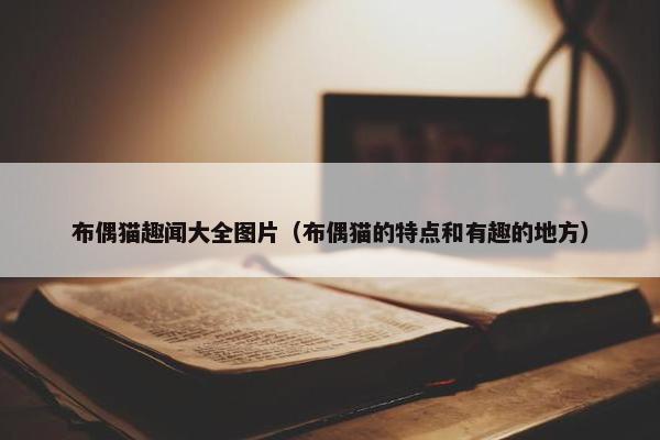 布偶猫趣闻大全图片（布偶猫的特点和有趣的地方）