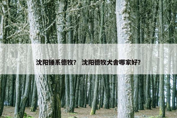 沈阳锤系德牧？ 沈阳德牧犬舍哪家好？