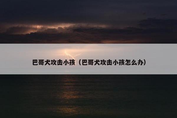 巴哥犬攻击小孩（巴哥犬攻击小孩怎么办）