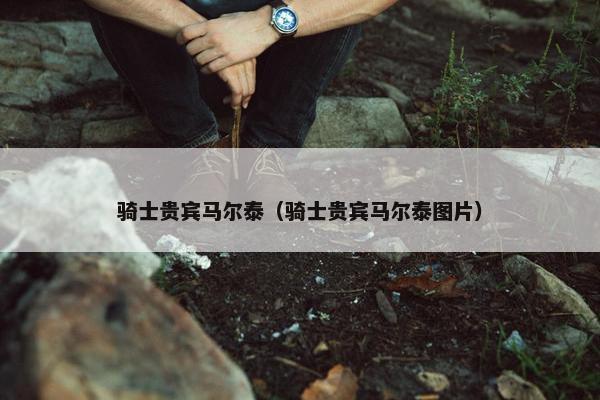 骑士贵宾马尔泰（骑士贵宾马尔泰图片）