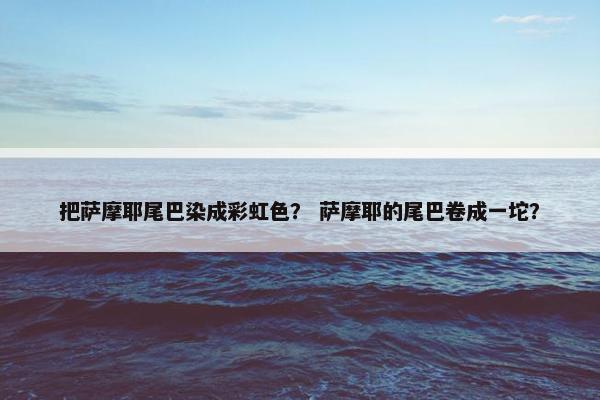 把萨摩耶尾巴染成彩虹色？ 萨摩耶的尾巴卷成一坨？
