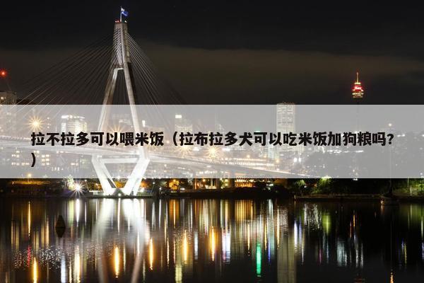 拉不拉多可以喂米饭（拉布拉多犬可以吃米饭加狗粮吗?）
