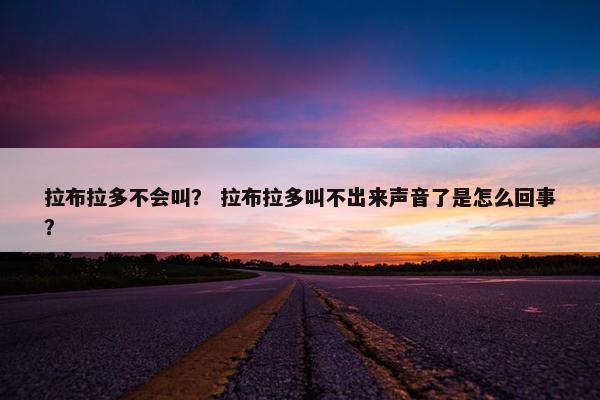 拉布拉多不会叫？ 拉布拉多叫不出来声音了是怎么回事？