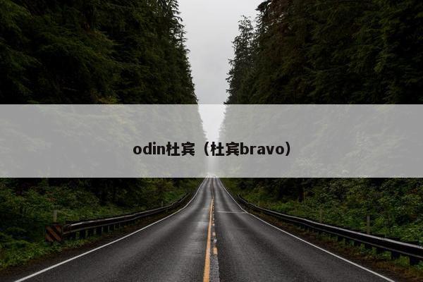 odin杜宾（杜宾bravo）