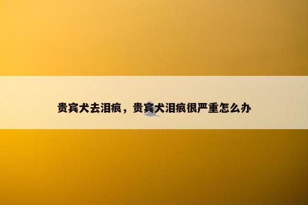 贵宾犬去泪痕，贵宾犬泪痕很严重怎么办