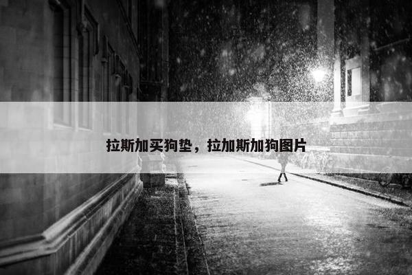 拉斯加买狗垫，拉加斯加狗图片
