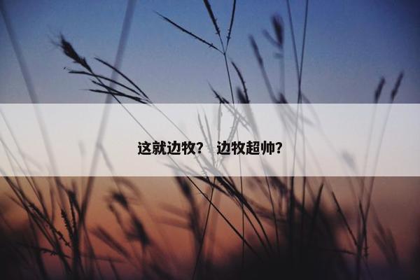 这就边牧？ 边牧超帅？
