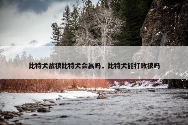 比特犬战狼比特犬会赢吗，比特犬能打败狼吗
