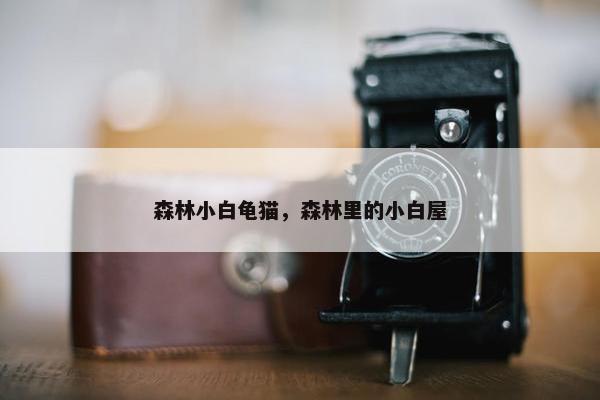 森林小白龟猫，森林里的小白屋