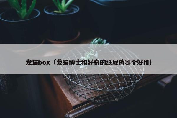 龙猫box（龙猫博士和好奇的纸尿裤哪个好用）