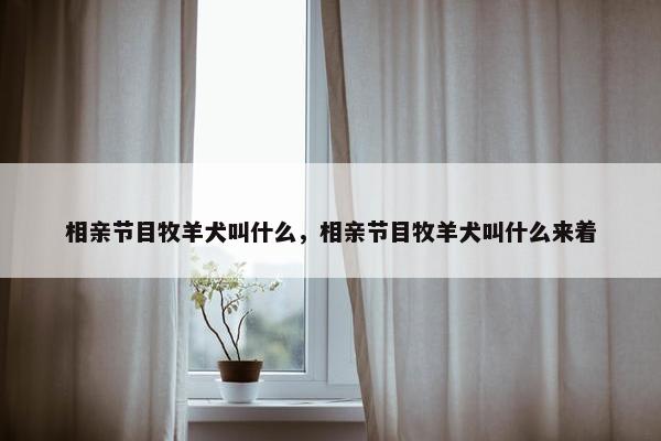 相亲节目牧羊犬叫什么，相亲节目牧羊犬叫什么来着
