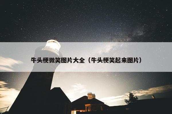 牛头梗微笑图片大全（牛头梗笑起来图片）