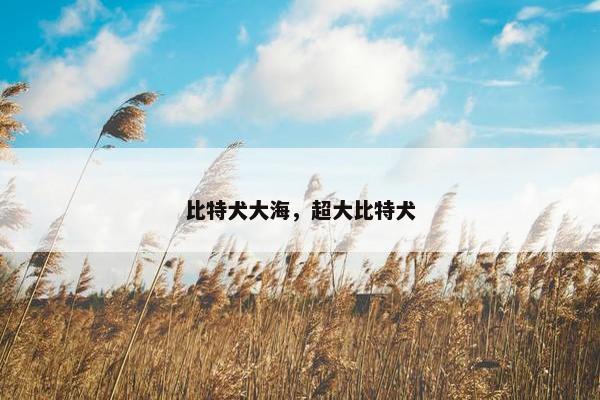 比特犬大海，超大比特犬