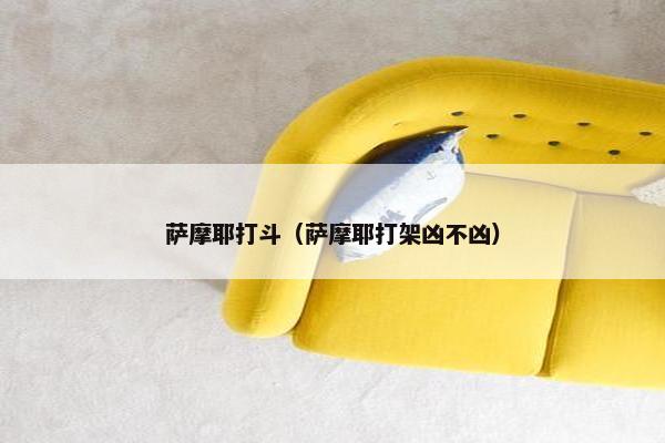 萨摩耶打斗（萨摩耶打架凶不凶）