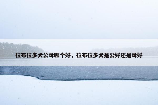 拉布拉多犬公母哪个好，拉布拉多犬是公好还是母好