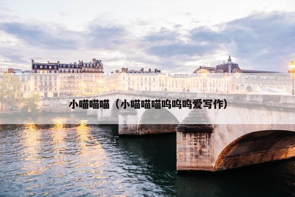 小喵喵喵（小喵喵喵呜呜呜爱写作）