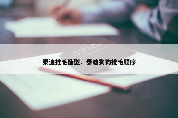 泰迪推毛造型，泰迪狗狗推毛顺序