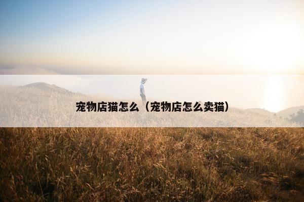 宠物店猫怎么（宠物店怎么卖猫）