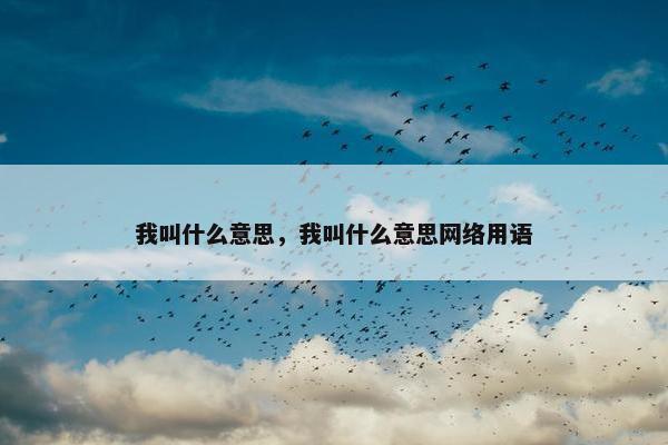 我叫什么意思，我叫什么意思网络用语